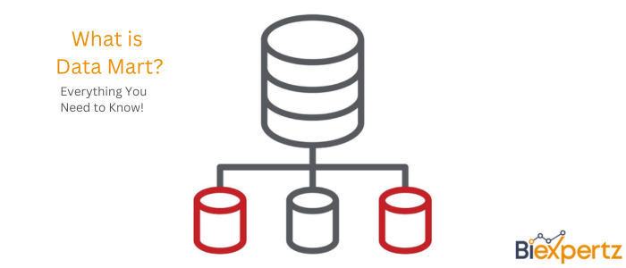 What is Data Mart
